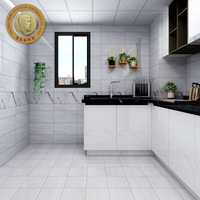菲尔兹墙砖300*600 FJ65009厨房卫生间防滑内墙砖瓷砖